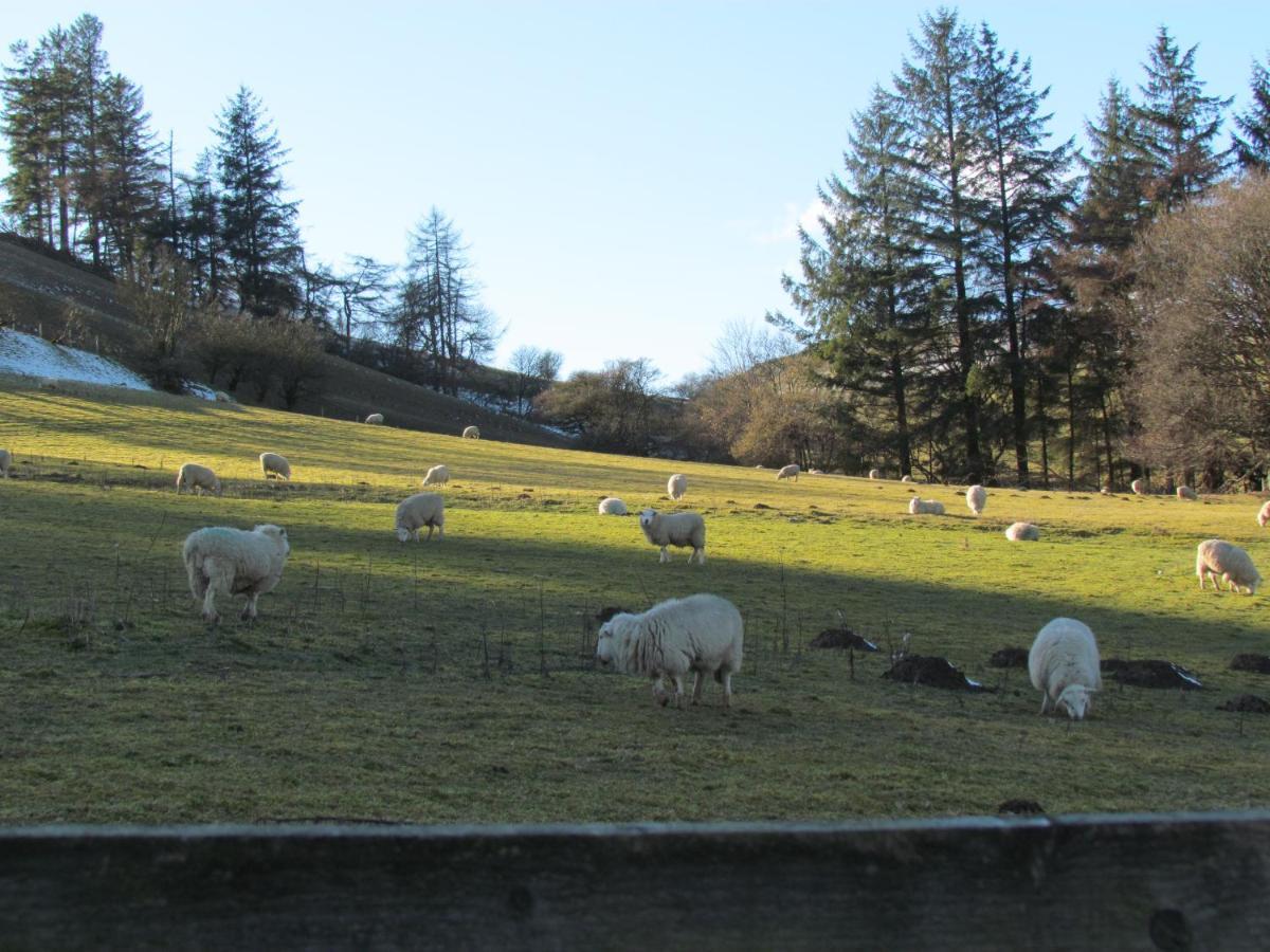 Wild Valley Bunkhouse Llanrhaeadr-ym-Mochnant المظهر الخارجي الصورة